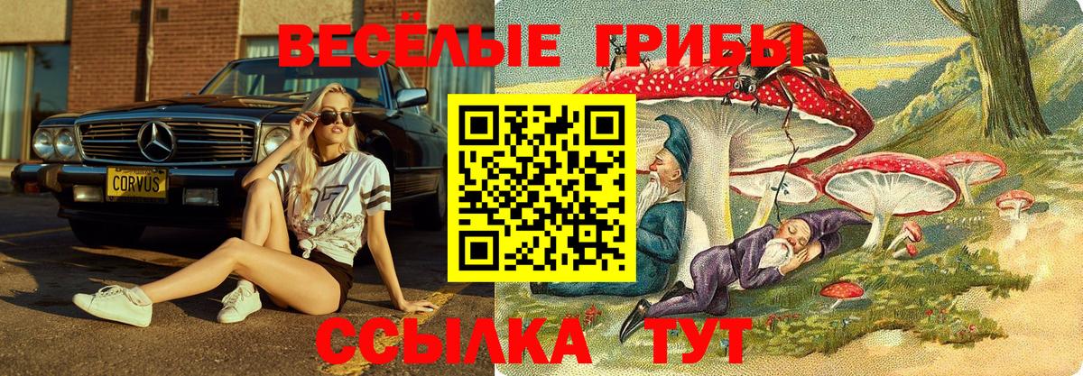 Псилоцибиновые грибы прущие грибы  Вход с VPN  Кубинка 